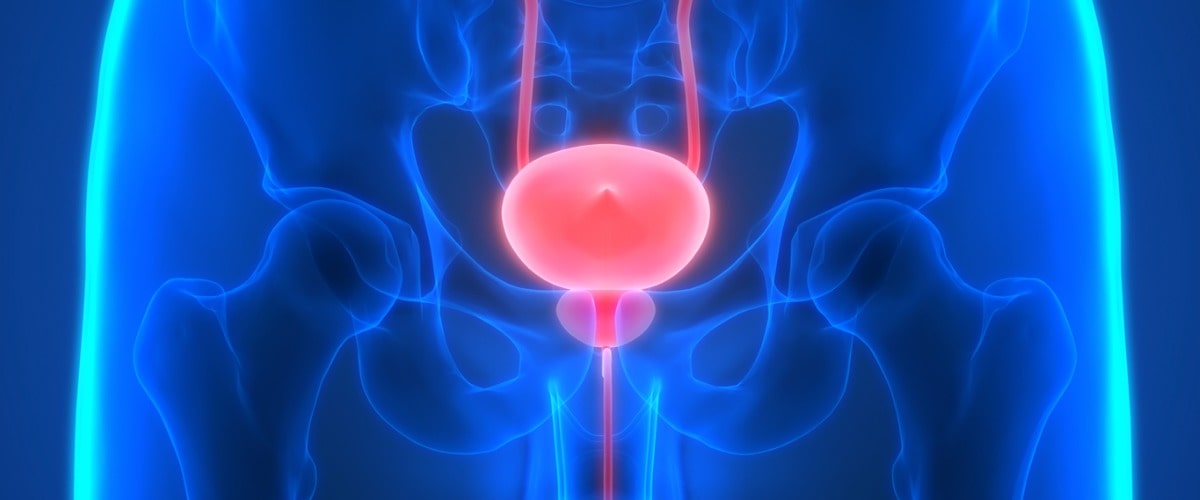 Prostata- Krebsvorsorgeuntersuchungen